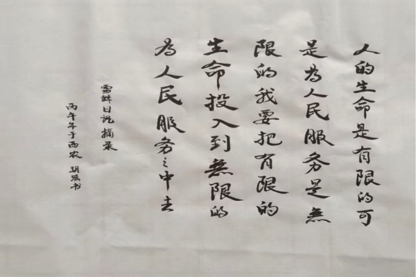 生命学子书写劳动感悟.png