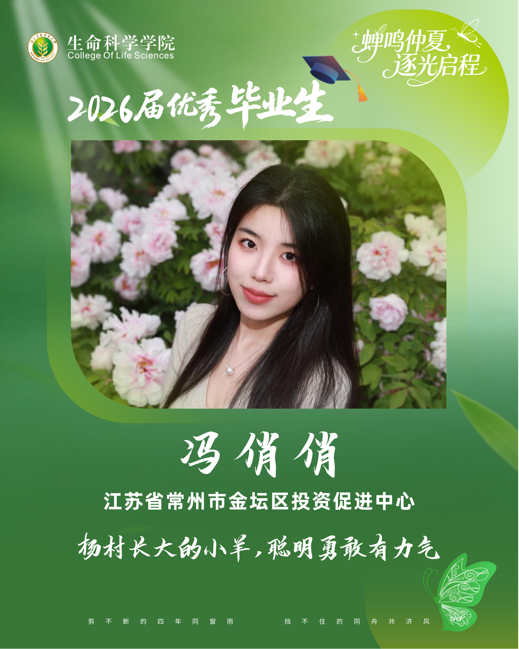 优毕 冯俏俏.png