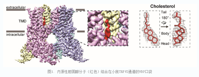 124c4e19e03640b5acef8f8fc1fe9dd0.png image.png